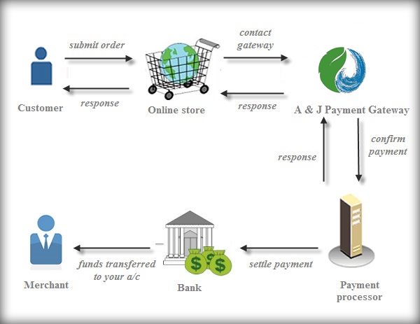 Payment Gateway Processing